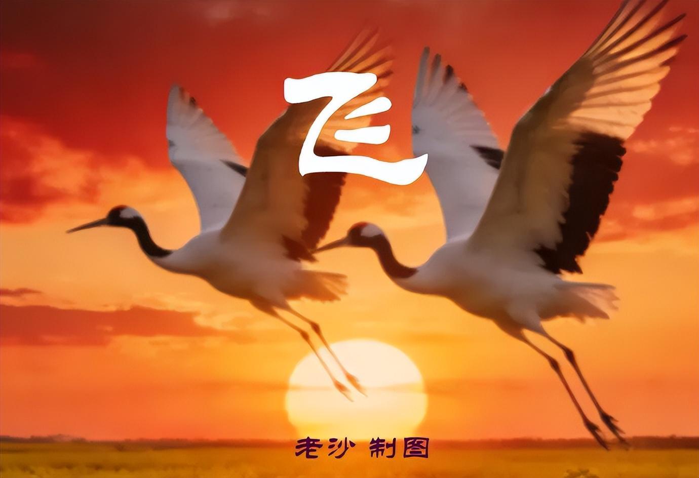 APP下载-4.28股市早8点丨英伟达疯了谷歌飙了
